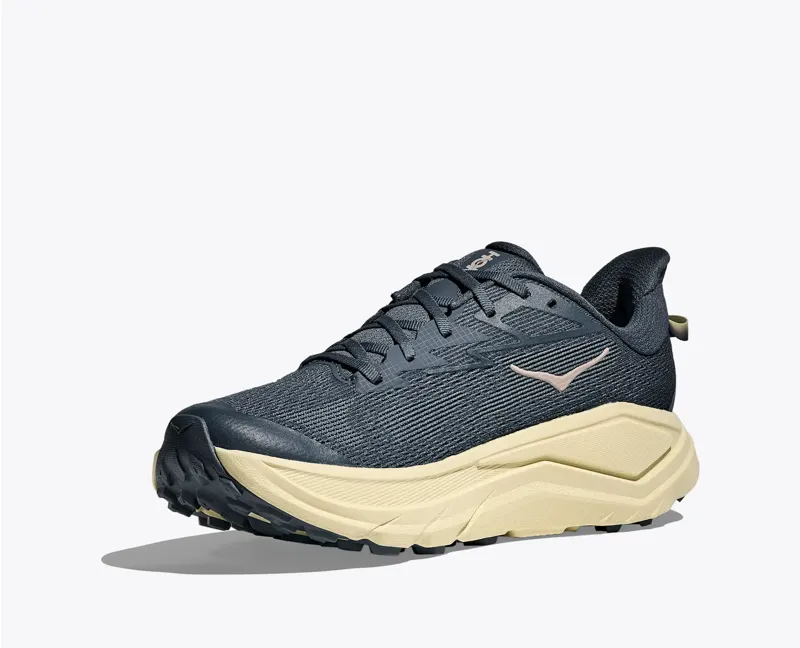 Hoka Challenger 8  Faded Navy / Pampass Grass-3